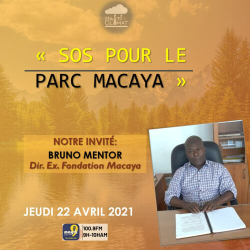 Bruno Mentor