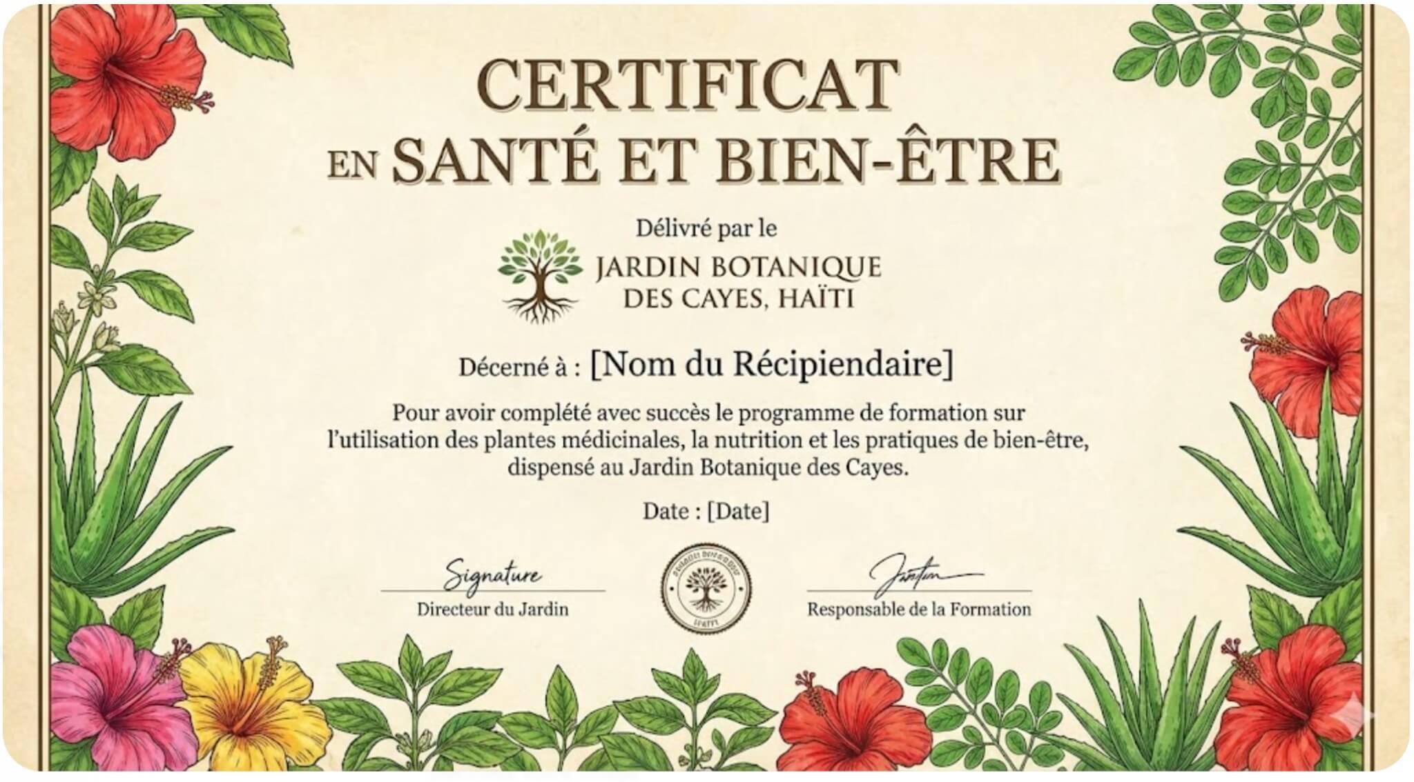 Certificat Santé et Bien-être