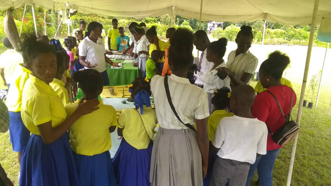 Projet : Cours et ateliers