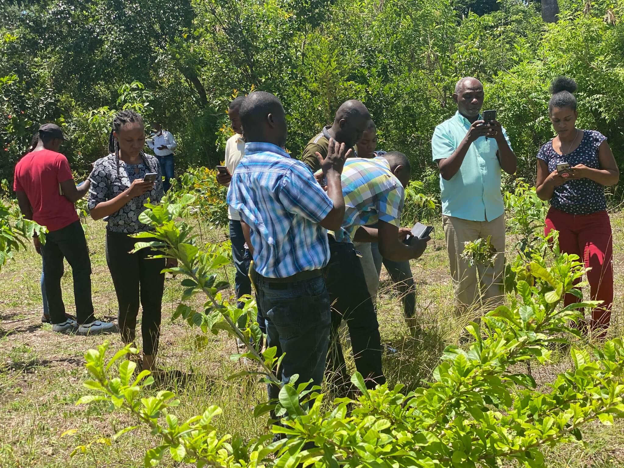 Cours spécialisés — programme universitaire