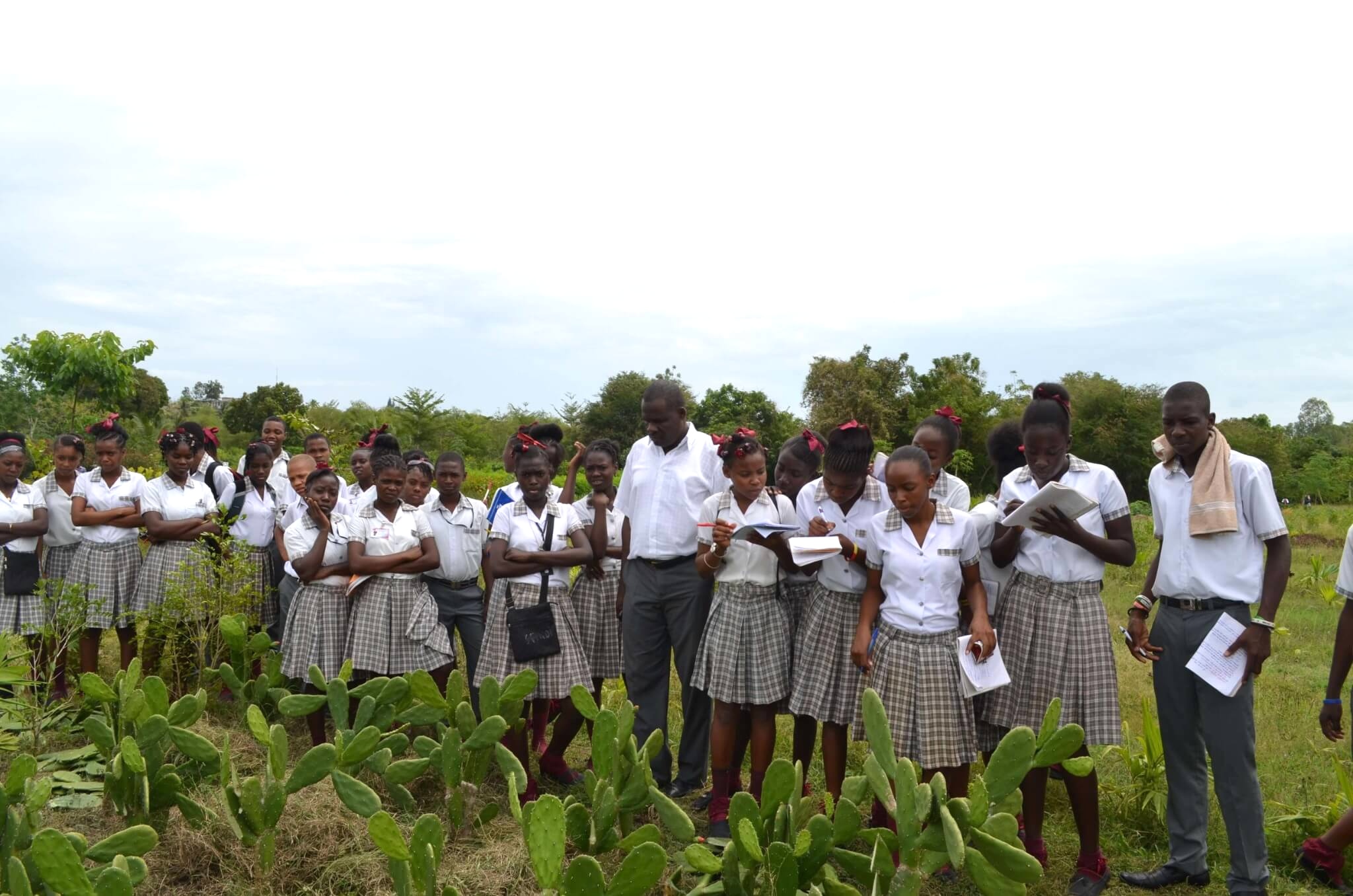 Exploration au jardin — programmes scolaires