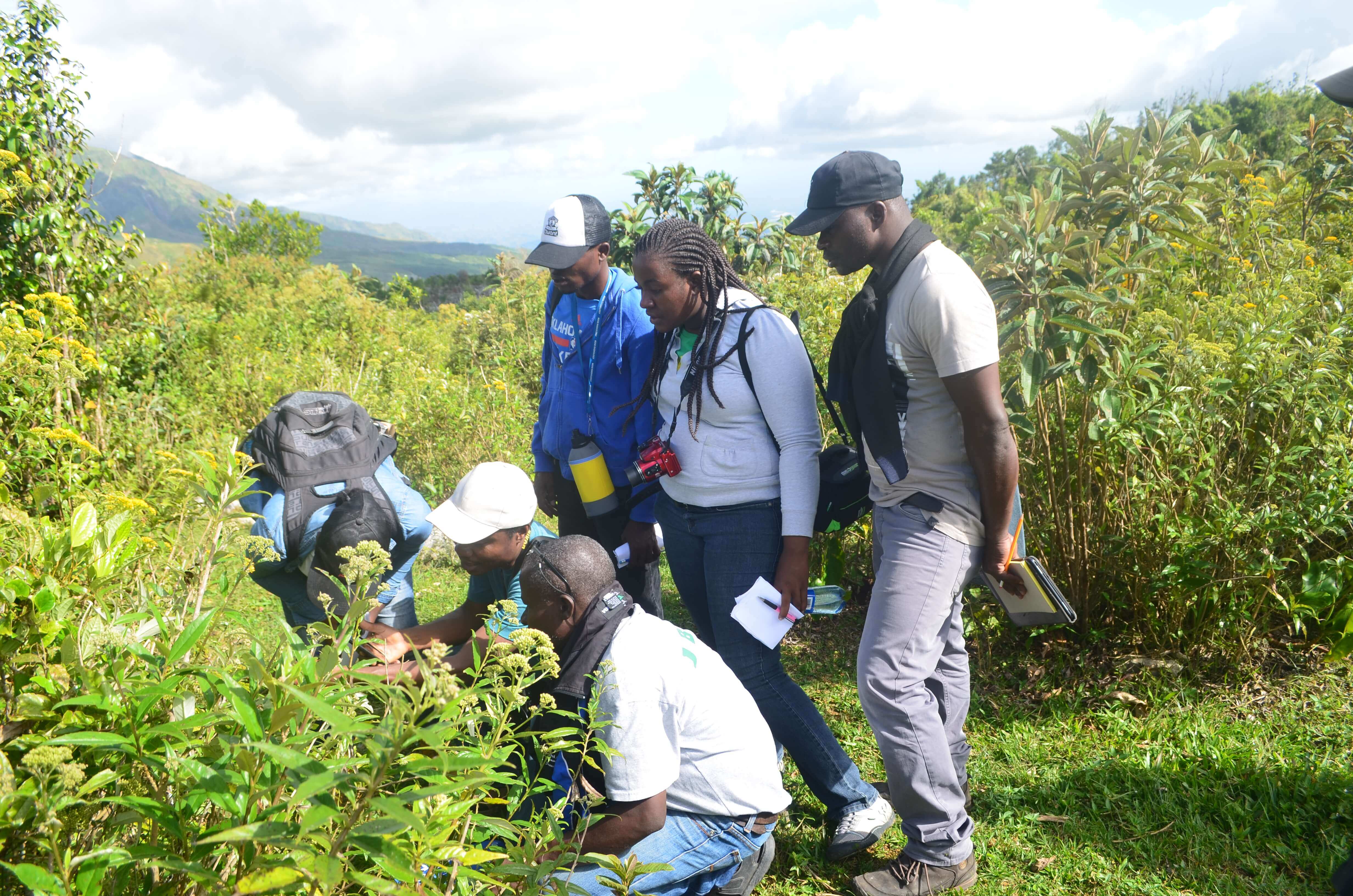 Explorations et sorties — formations