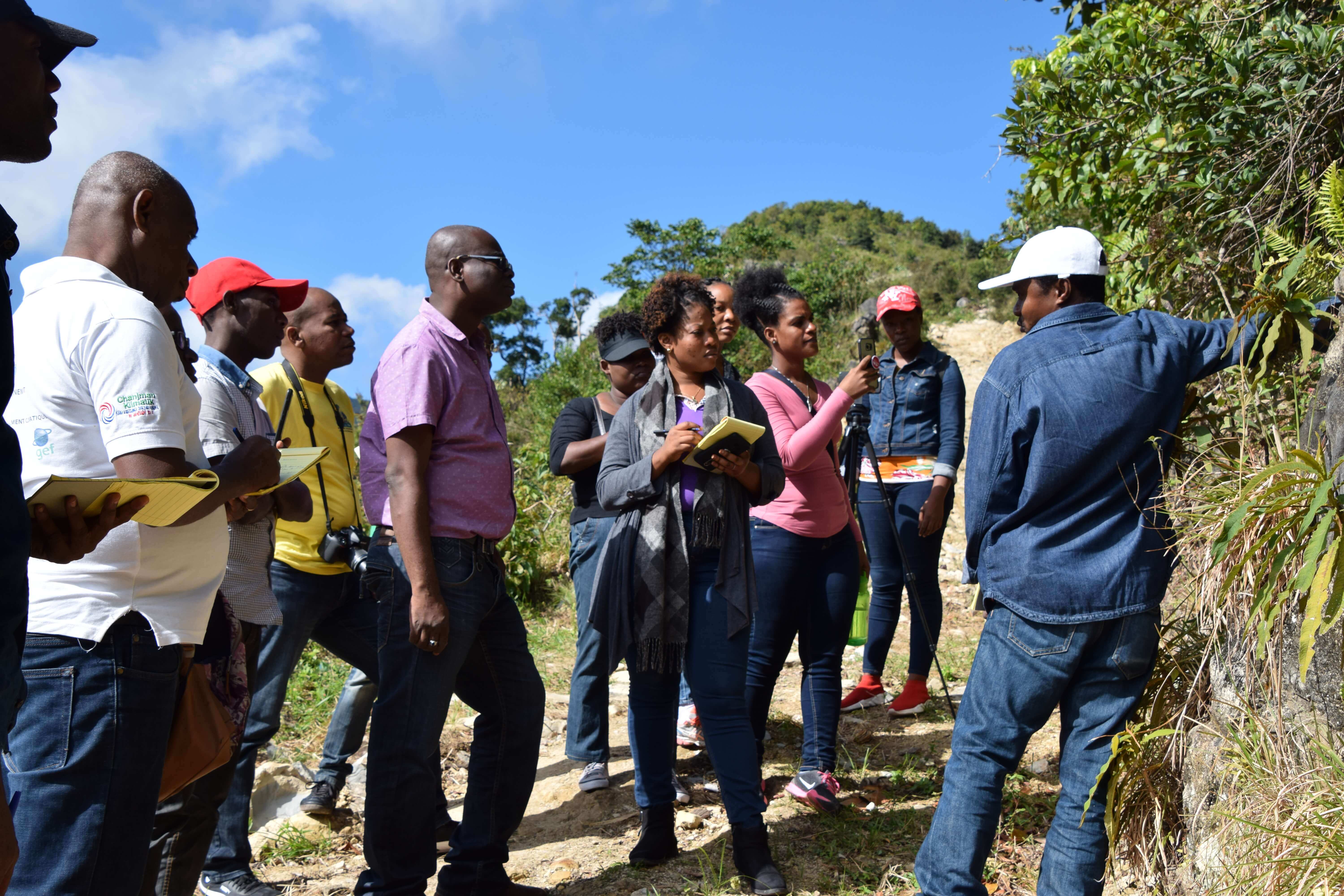 Formation Apiculture