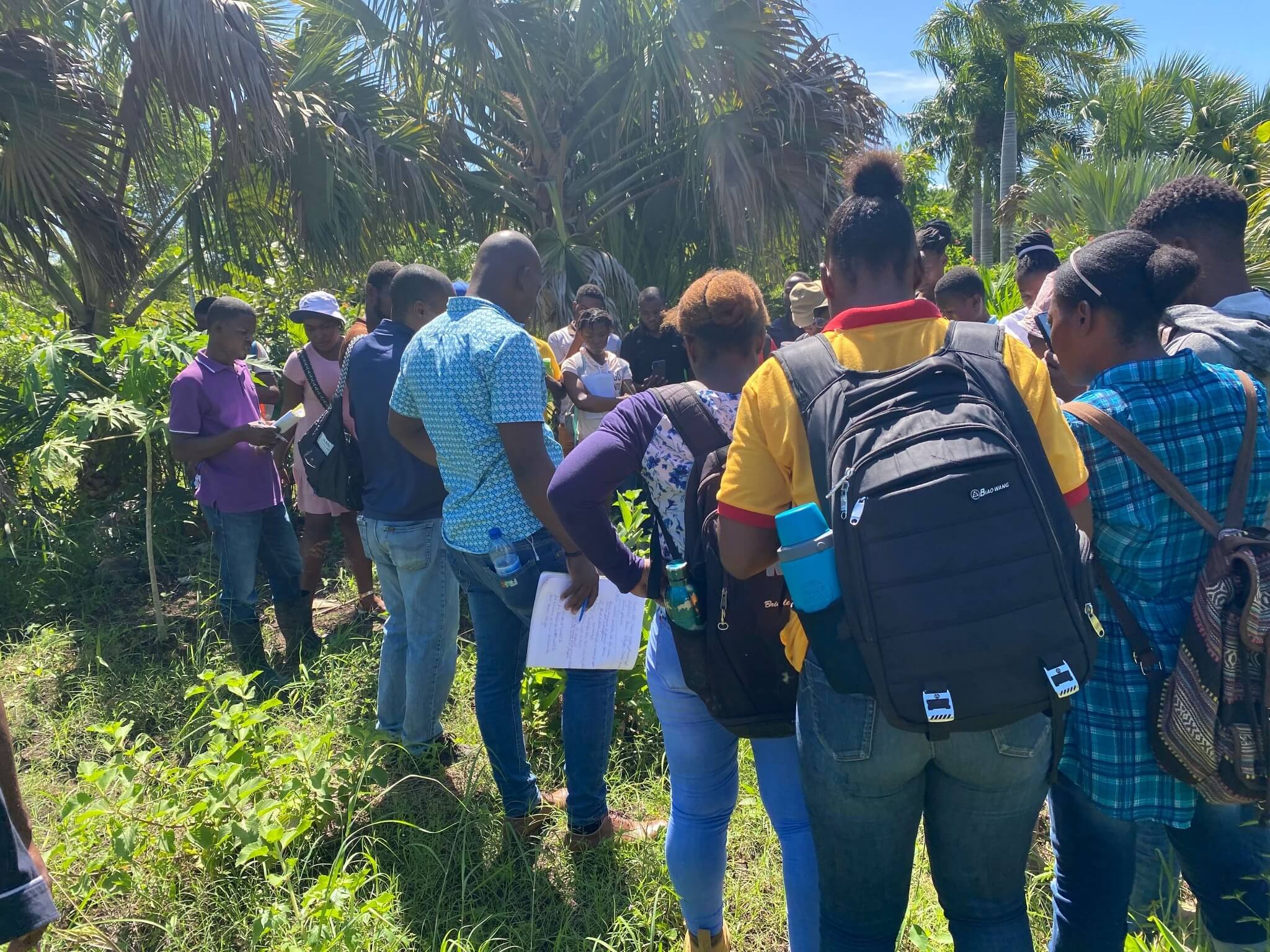 Stages de formation — programme universitaire