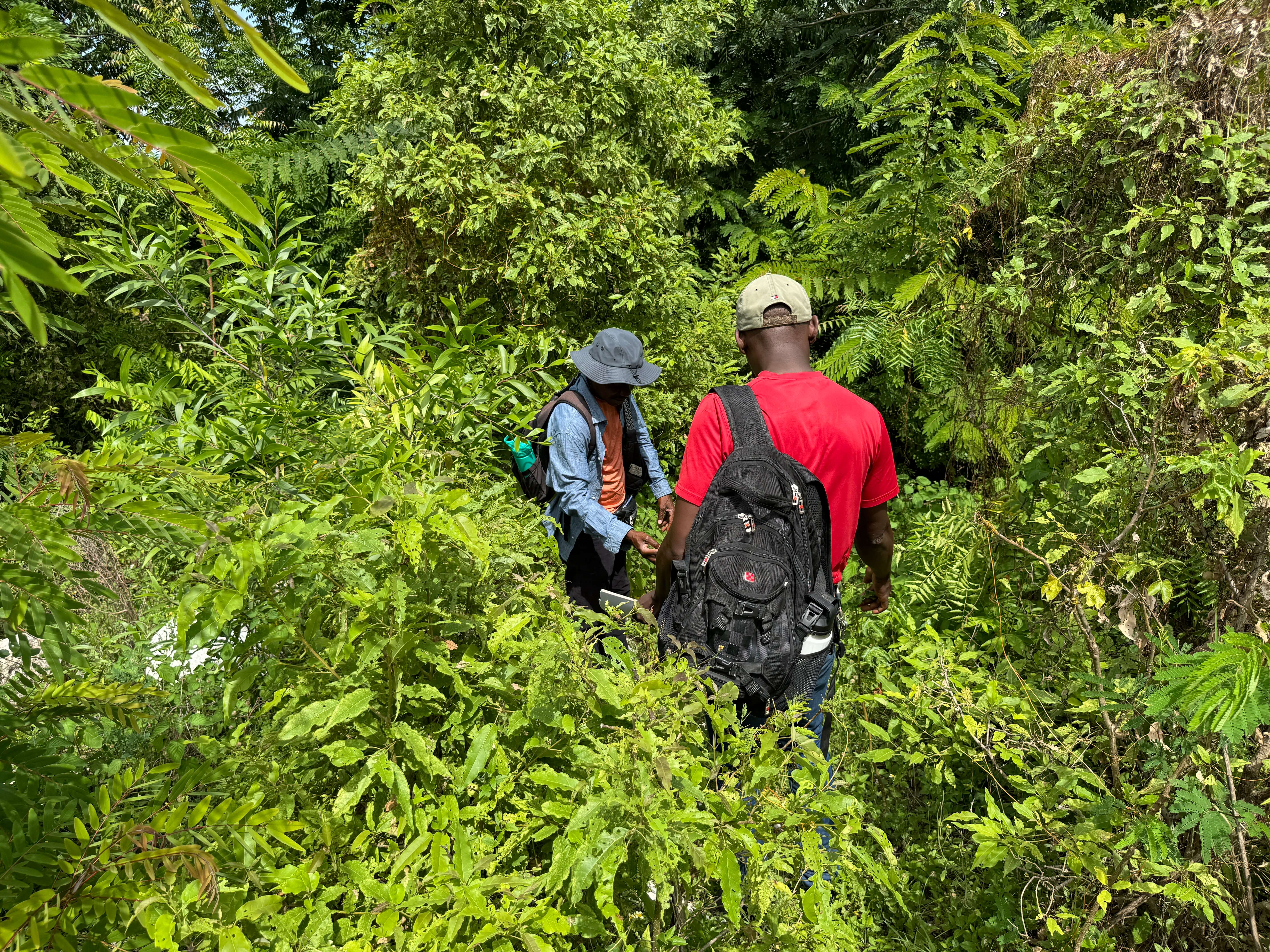 La Naturopathie : Une Science Ancestrale au Service de la Santé Moderne