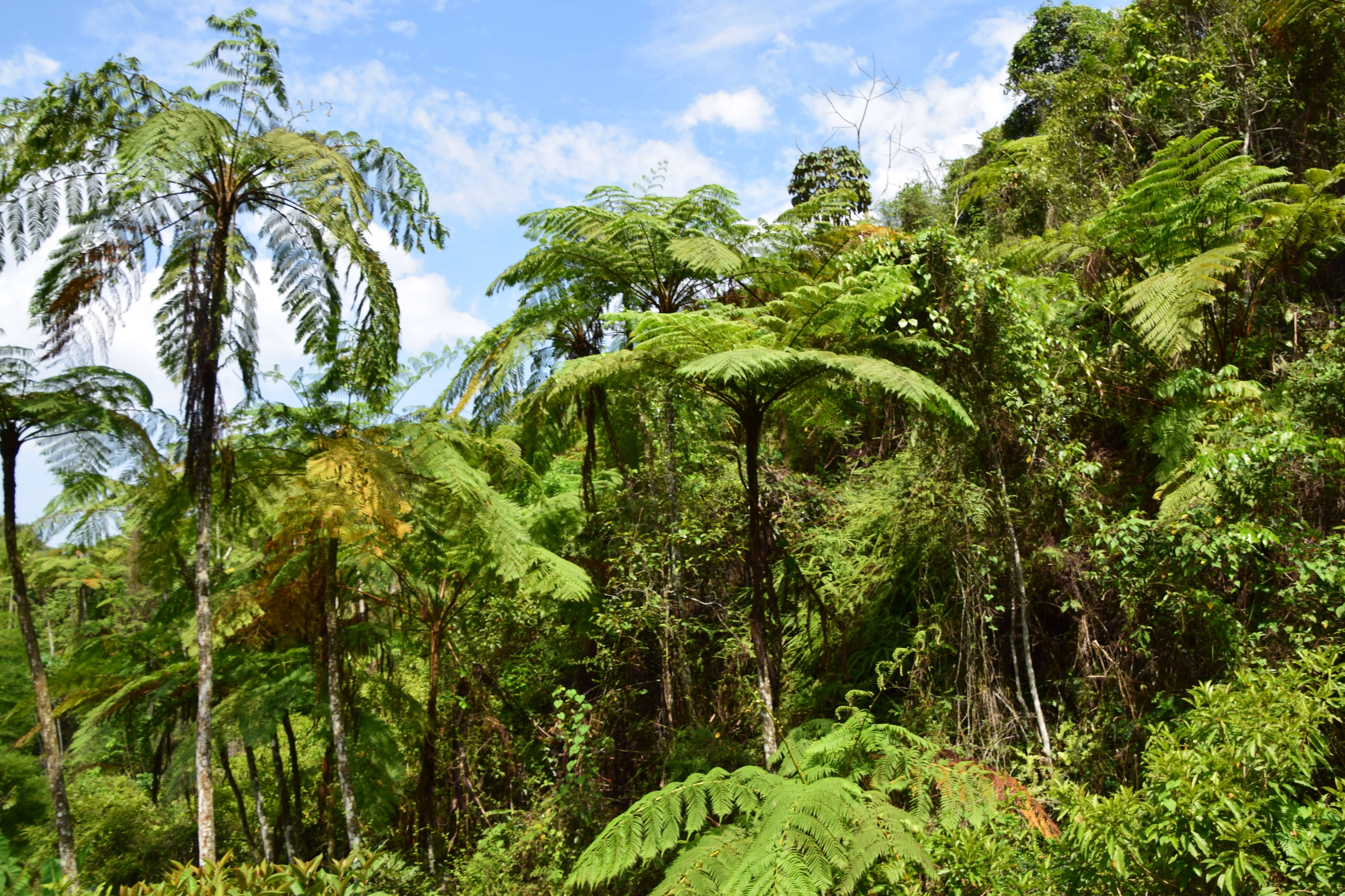 Conservation Terrain