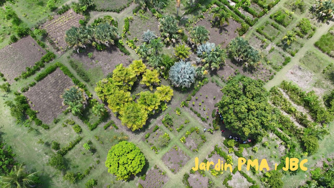 Jardin Botanique des Cayes