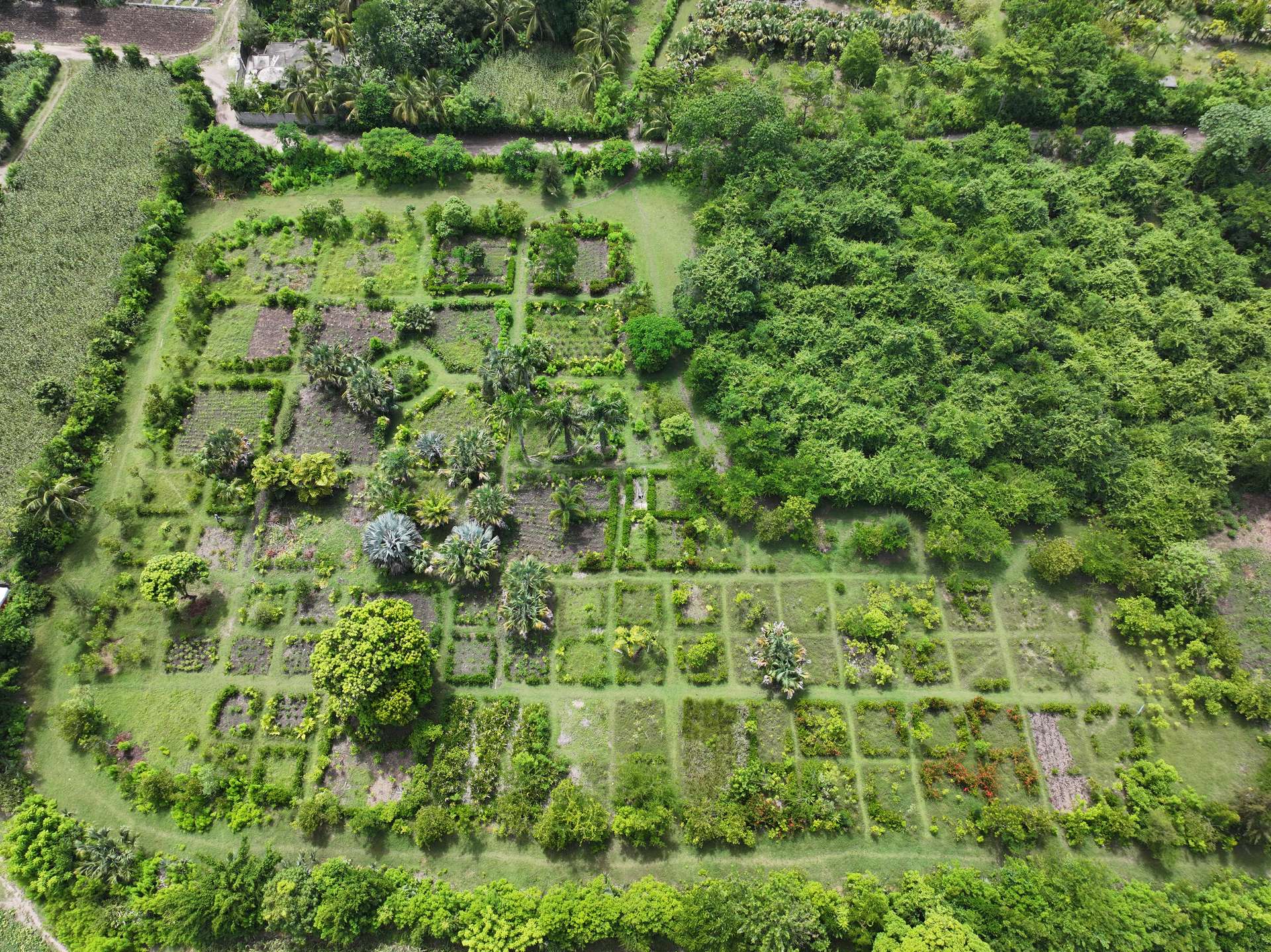 The ecological garden from above