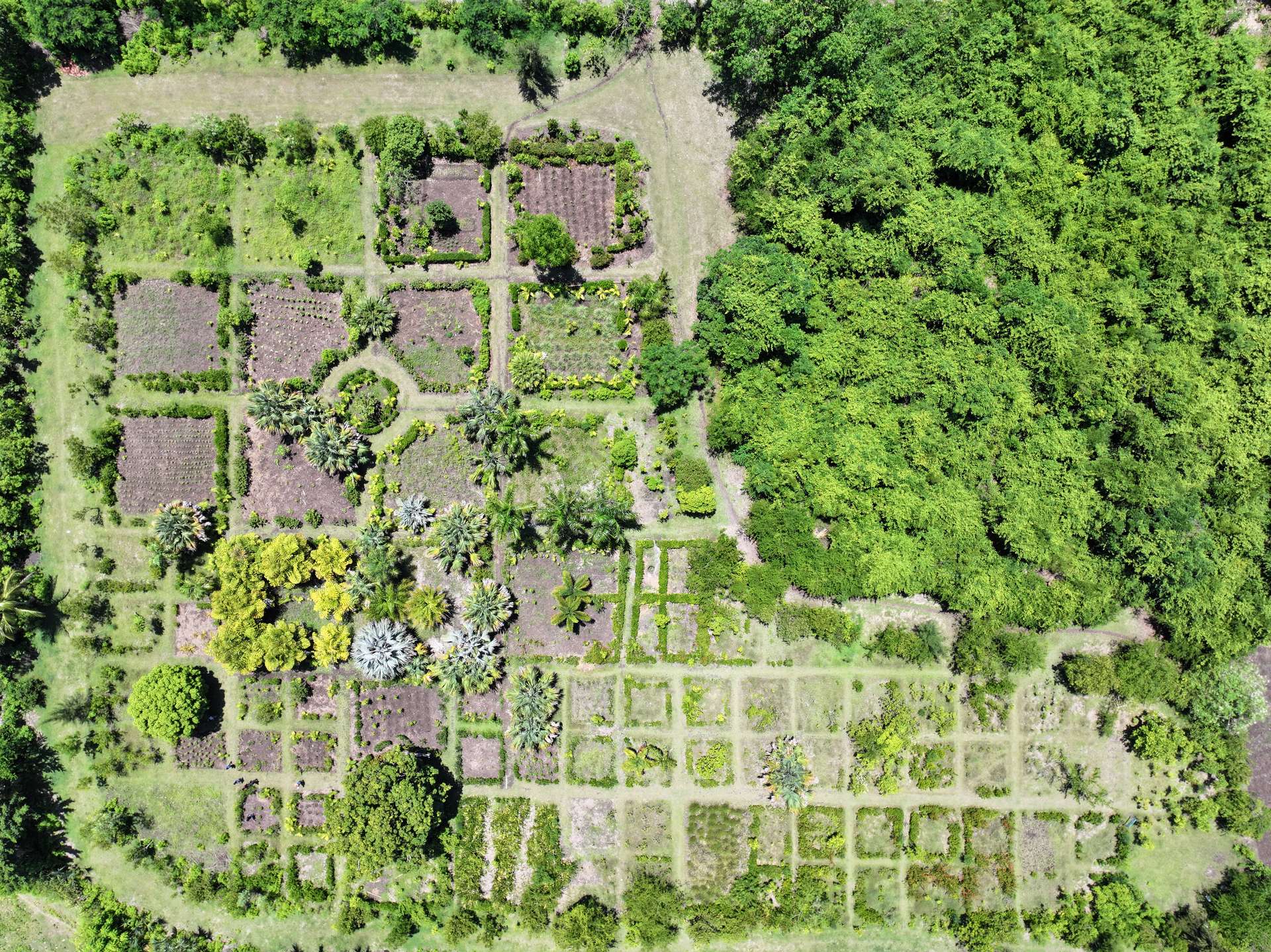 Jardin ethnobotanique vue aérienne