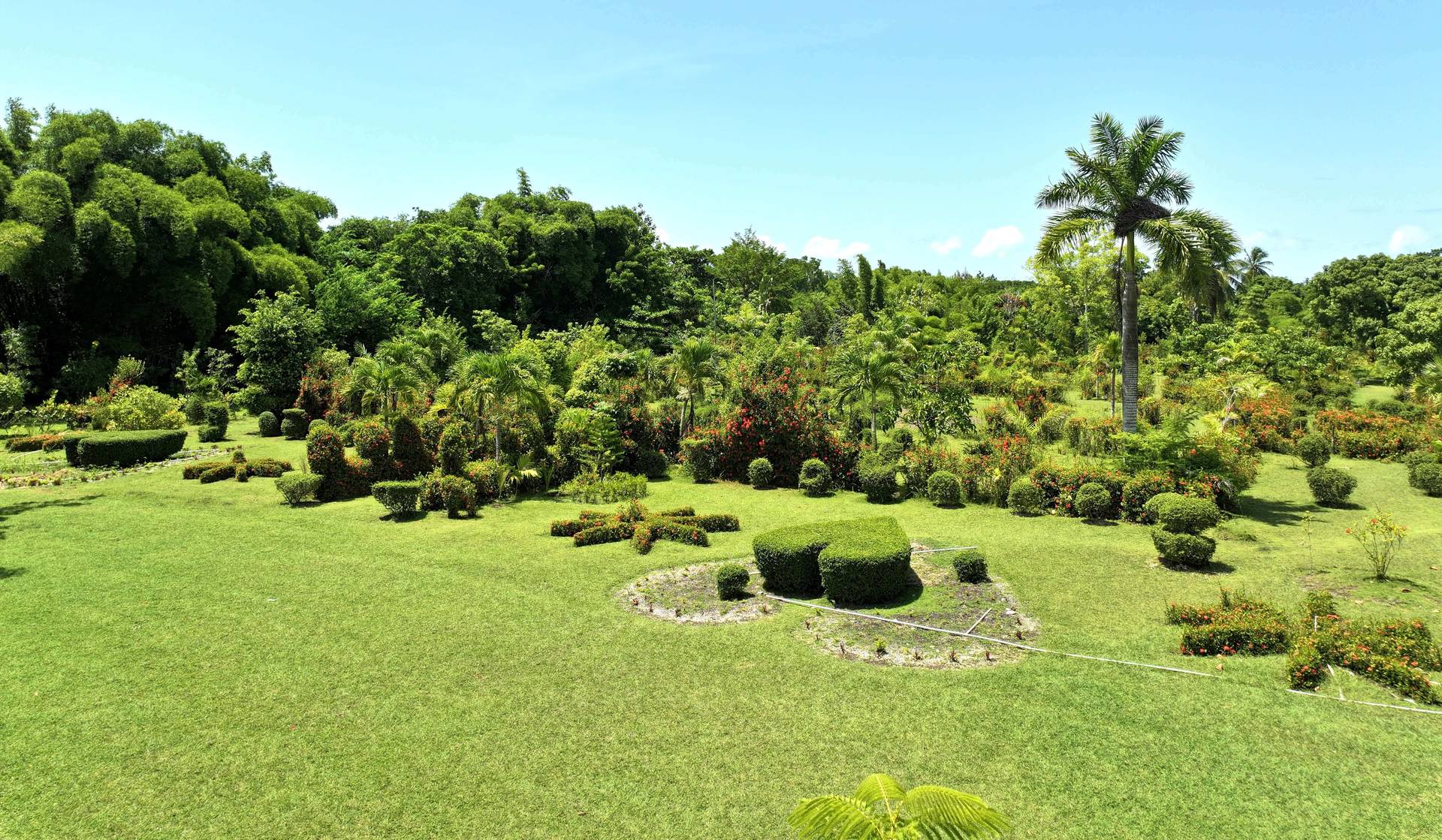 Panorama du jardin ornemental