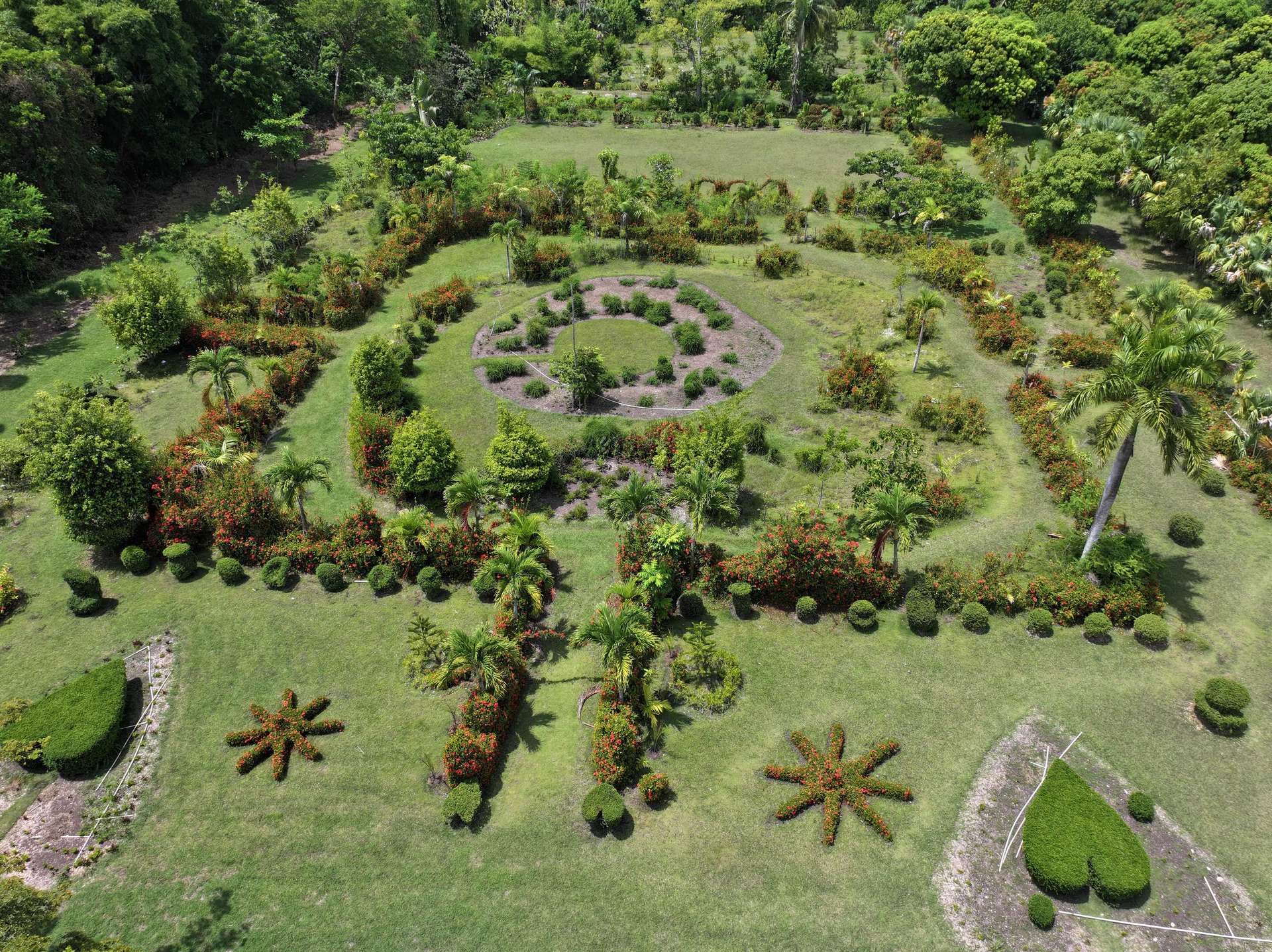 The garden's star — aerial view