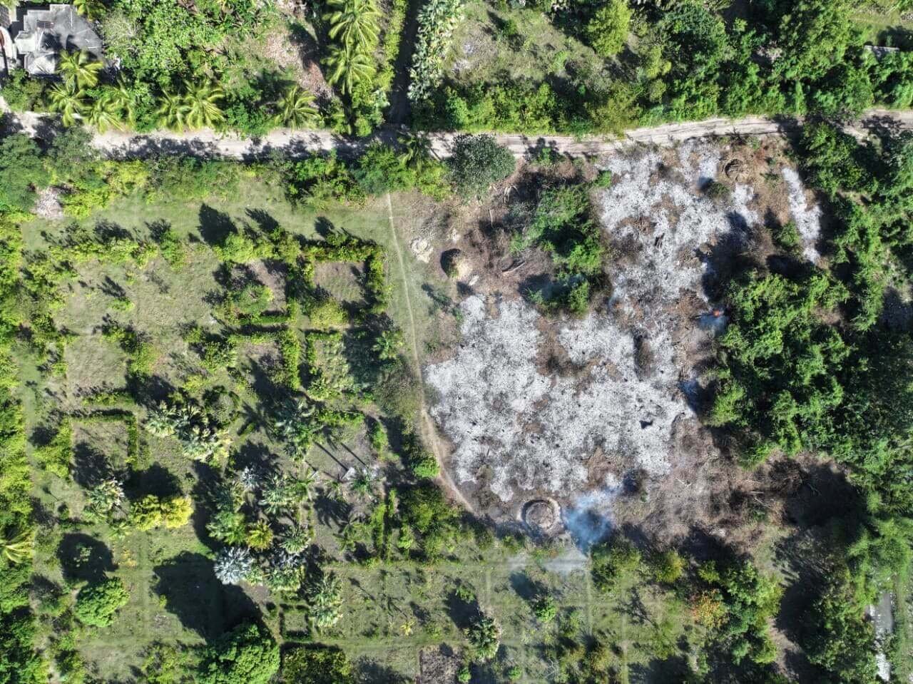 Before/after in the same frame