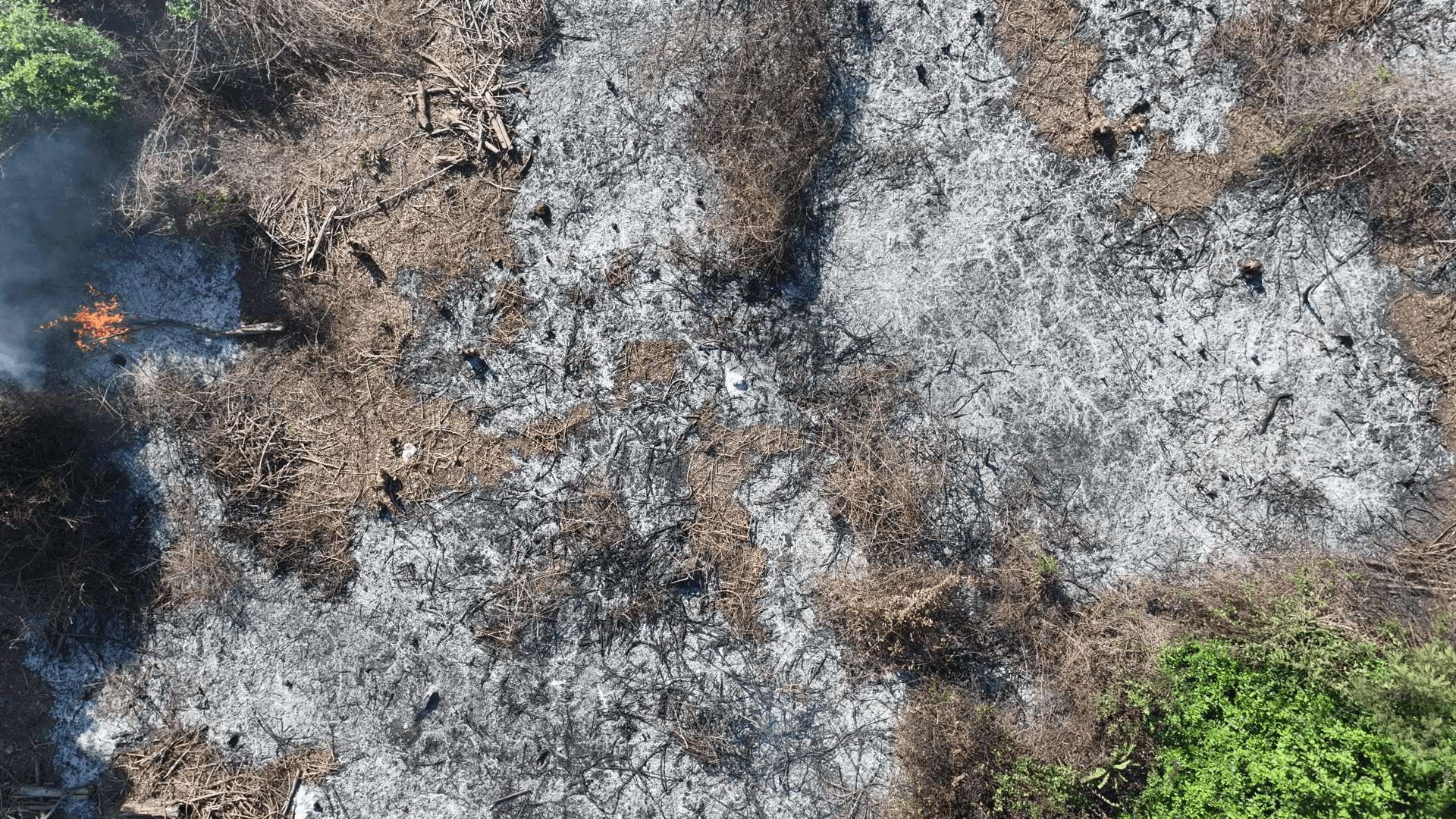 Scorched earth — drone view
