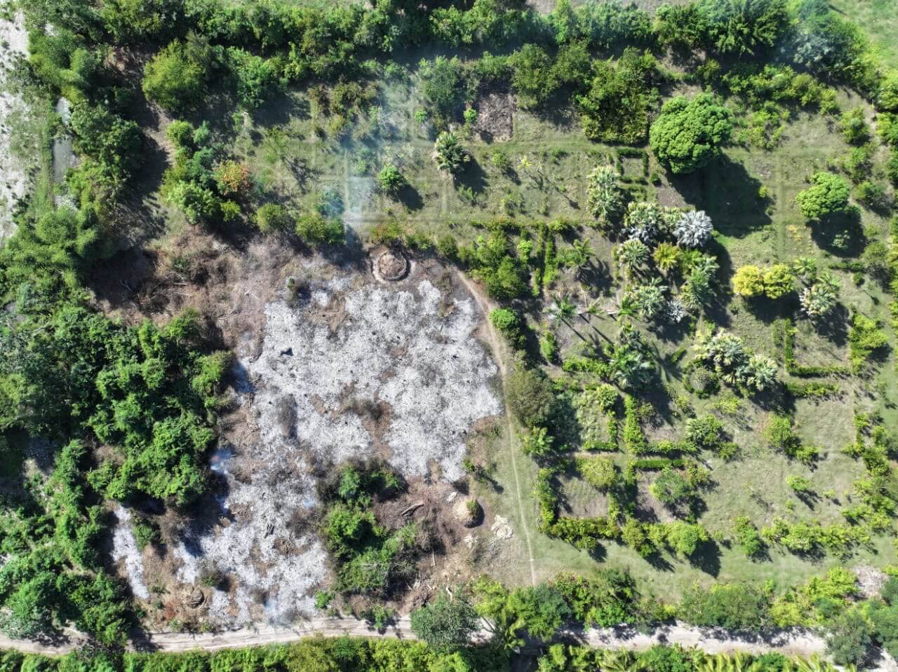 Espace écologique avant